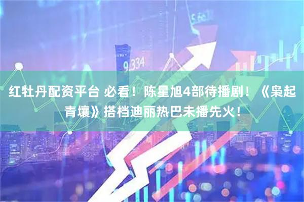 红牡丹配资平台 必看！陈星旭4部待播剧！《枭起青壤》搭档迪丽热巴未播先火！