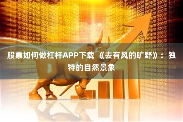 股票如何做杠杆APP下载 《去有风的旷野》：独特的自然景象