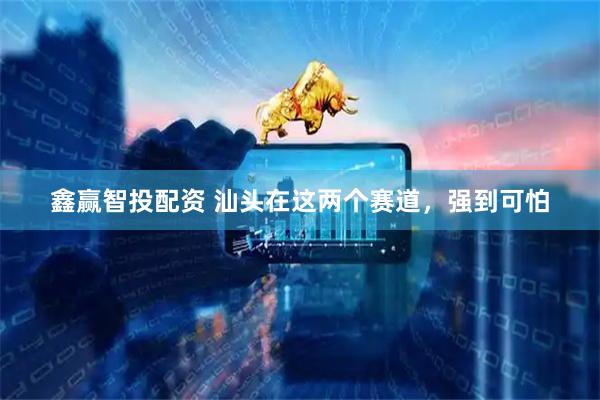 鑫赢智投配资 汕头在这两个赛道，强到可怕