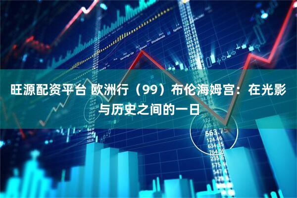 旺源配资平台 欧洲行（99）布伦海姆宫：在光影与历史之间的一日