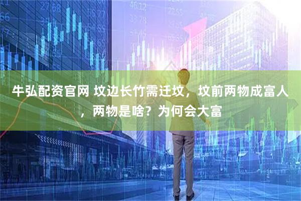 牛弘配资官网 坟边长竹需迁坟，坟前两物成富人，两物是啥？为何会大富