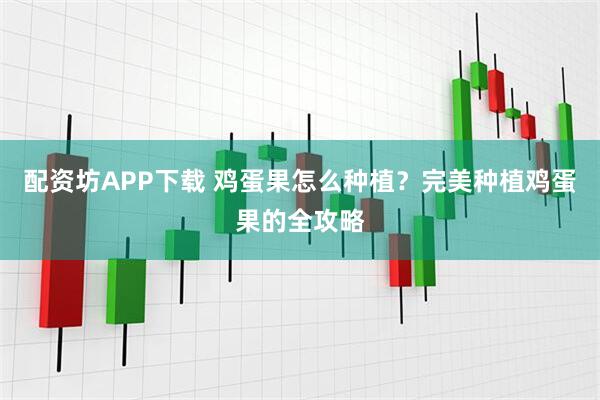 配资坊APP下载 鸡蛋果怎么种植？完美种植鸡蛋果的全攻略